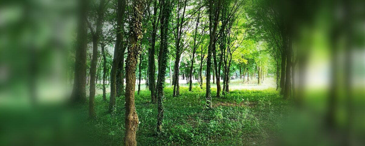 Differenza tra ansia e paura - Laura Bastianello Psicologa Psicoterapeuta Padova