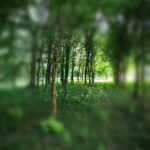 Differenza tra ansia e paura - Laura Bastianello Psicologa Psicoterapeuta Padova
